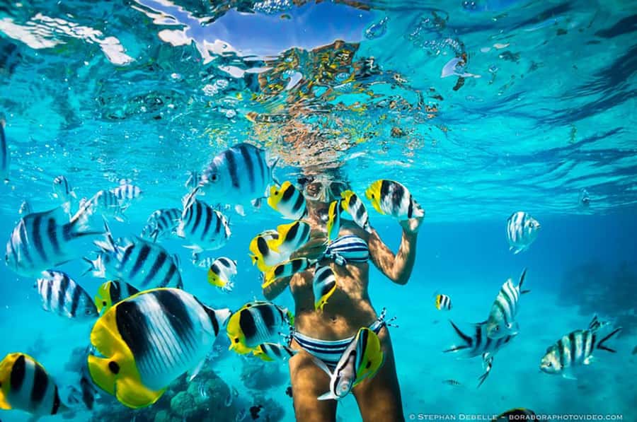 From Santa Marta: Sisiguaca Beach Hike with Snorkeling - Meeting in Parque de los Novios
