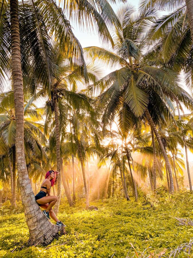 From Santa Marta: Tayrona National Park Guided Tour - Key details before you book