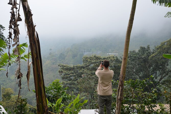 From Seed to Cup - Coffee Experience at La Palma y El Tucan - Transport, timing, and group size