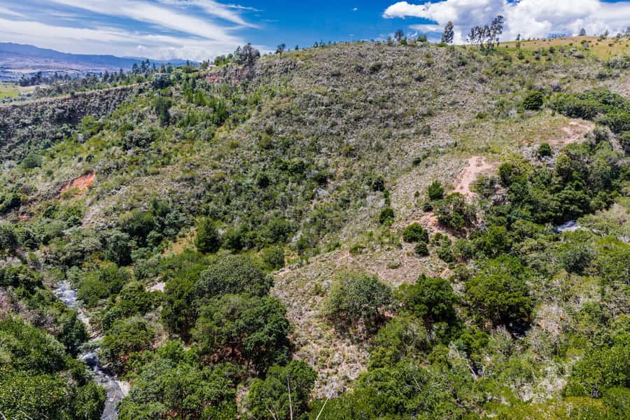 From Villa de Leyva: La Periquera Hiking Tour - Key points to know before you go