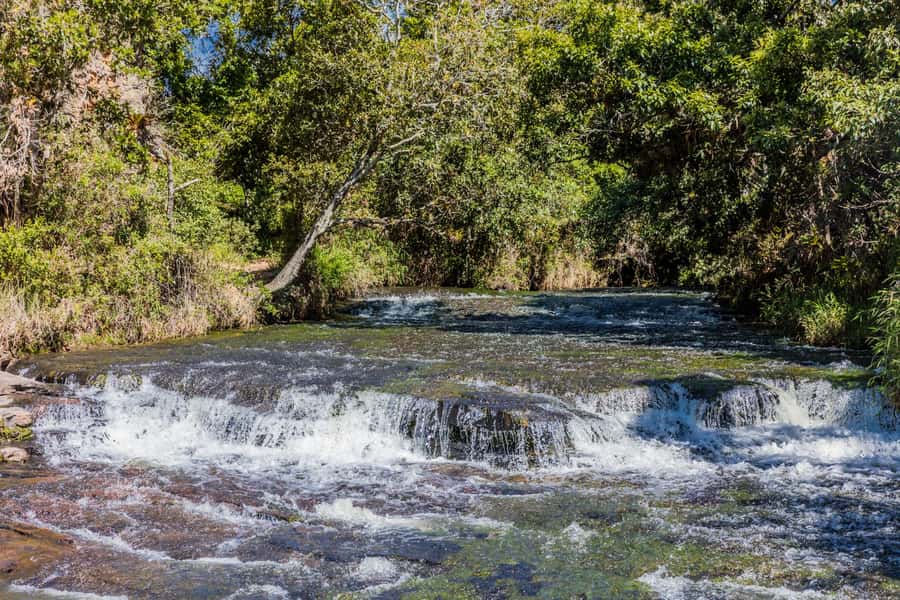 From Villa de Leyva: La Periquera Hiking Tour - Following the trail through Boyacá’s plant life