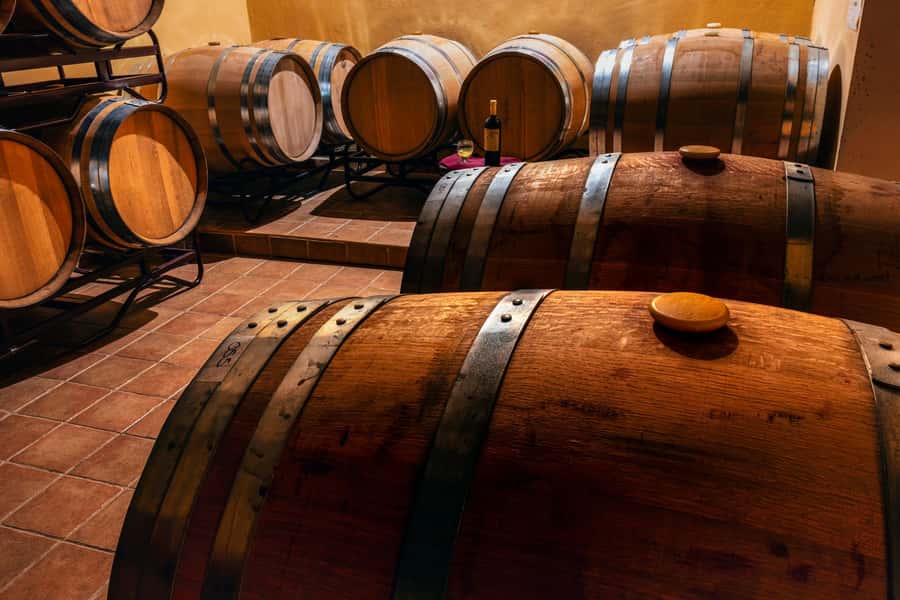 From Villa de Leyva: Vineyard Tour - Key points to know before booking