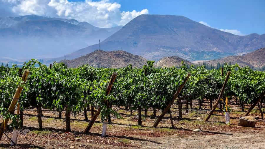 From Villa de Leyva: Vineyard Tour - Leaving Villa de Leyva for Boyaca wine country