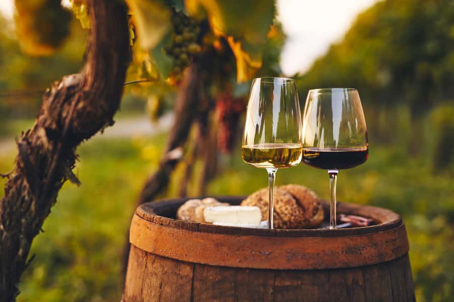 From Villa de Leyva: Vineyard Tour - Should you book the Villa de Leyva vineyard tour?