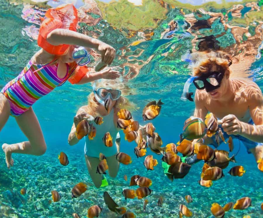 Full Day Barú island: Mangrove +Snorkel + Sunset + Plankton - The early road trip from Cartagena