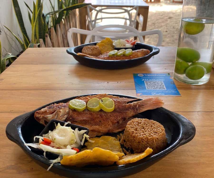 Full Day Barú island: Mangrove +Snorkel + Sunset + Plankton - Lunch with coconut rice and fried fish