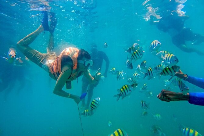 Full Day Cartagena Tour of 5 Islands with Plankton Included - What the $110 price really buys