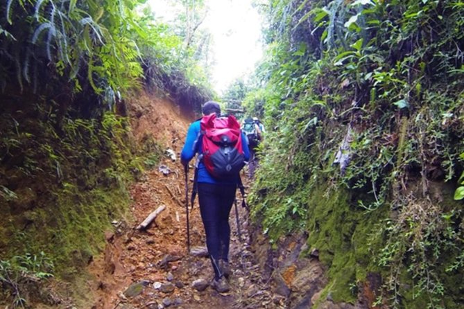 Full-Day Eco Extreme Tour Near Bogota - Practical Preparation for a Wet, Active Day