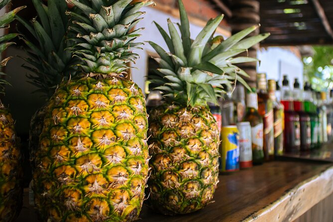 Full Day Encantada beach Rosario Island Nature is the new Luxury - Who should book this Rosario Islands day trip?
