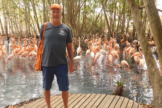 Full Day for Bird Watching with Visit to Isla Baru - Moving from the aviary toward Isla Barú