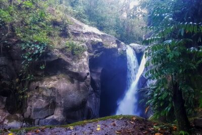 Full-Day Hiking Tour in Minca with coffee & Cocoa Workshop