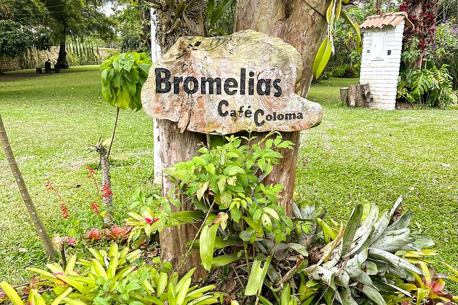 Full Day learning about the Process of the Best Coffee in the World - Who will enjoy this experience most