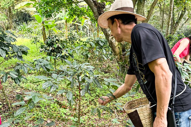 Full Day learning about the Process of the Best Coffee in the World - Practical booking advice for this 10-hour outing