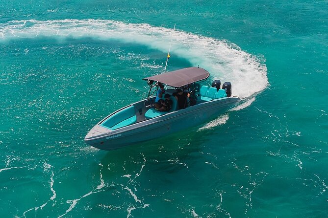 Full Day Luxury Private Boat Rental To Rosario Islands - Swimming around Isla Grande
