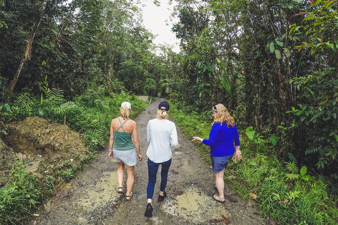 Full Day Private Adventure Tour to San Cipriano - Waterfalls, pools, and the final tube ride