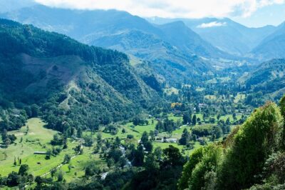 Full-Day Private Coffee Tour in Cocora Valley and Salento