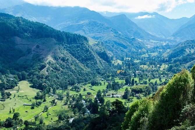 Full-Day Private Coffee Tour in Cocora Valley and Salento - Seeing coffee production from seed to roast