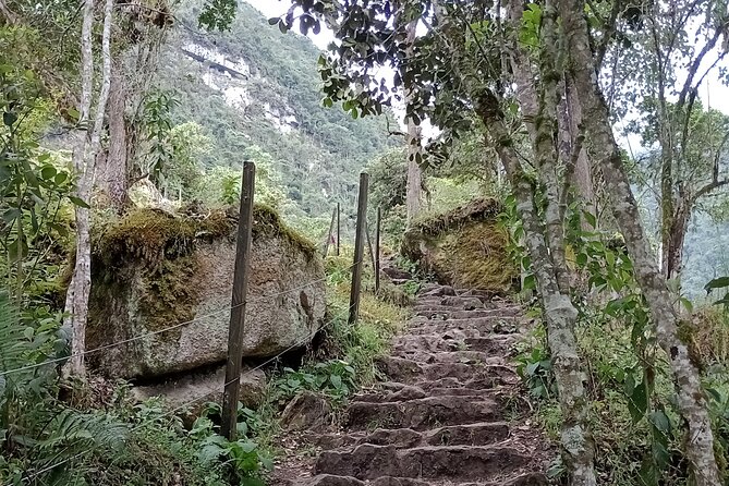 Full-Day Private Tour to La Chorrera Waterfall and El Chiflón - Why the waterfall feels worth the effort