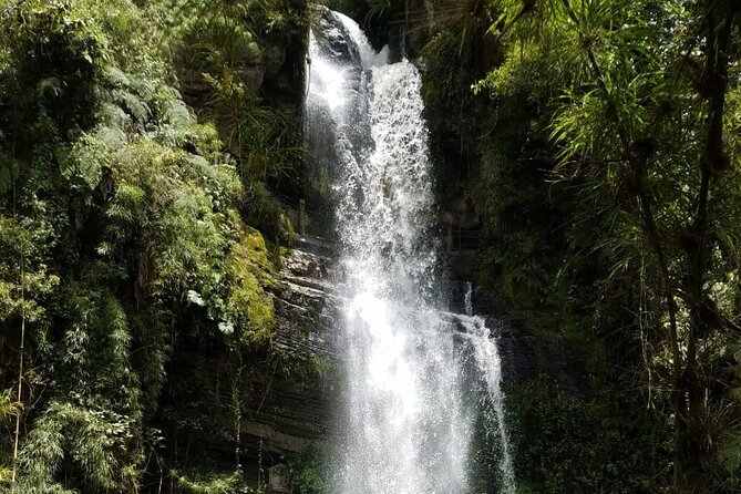 Full-Day Private Tour to La Chorrera Waterfall and El Chiflón - Lunch beside the rushing water