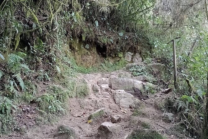 Full-Day Private Tour to La Chorrera Waterfall and El Chiflón - What the guide adds to the outing