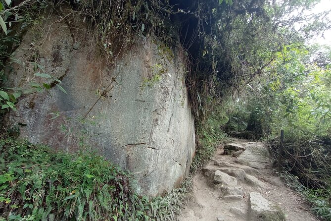 Full-Day Private Tour to La Chorrera Waterfall and El Chiflón - The five-hour route to La Chorrera