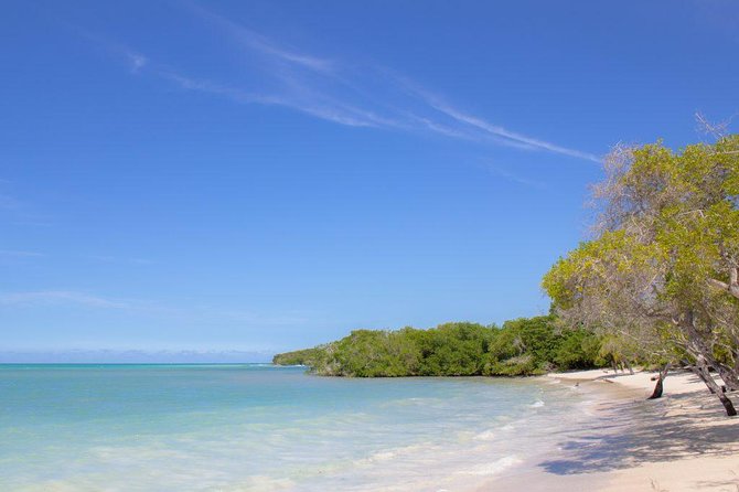 Full Day Rosario Islands Playa Agua Azul Cholon Playa Blanca - Cholón brings seafood and a commercial edge