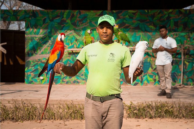 Full day tour aviary with beach in Baru with lunch - Why the aviary deserves the full three hours