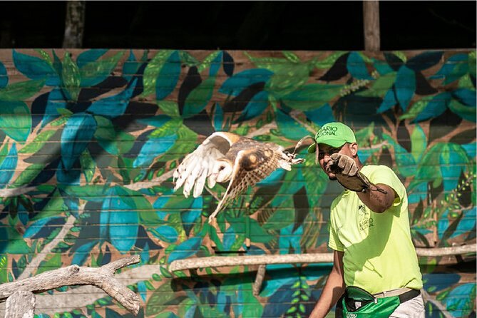 Full day tour aviary with beach in Baru with lunch - What makes Vanessa’s guiding valuable