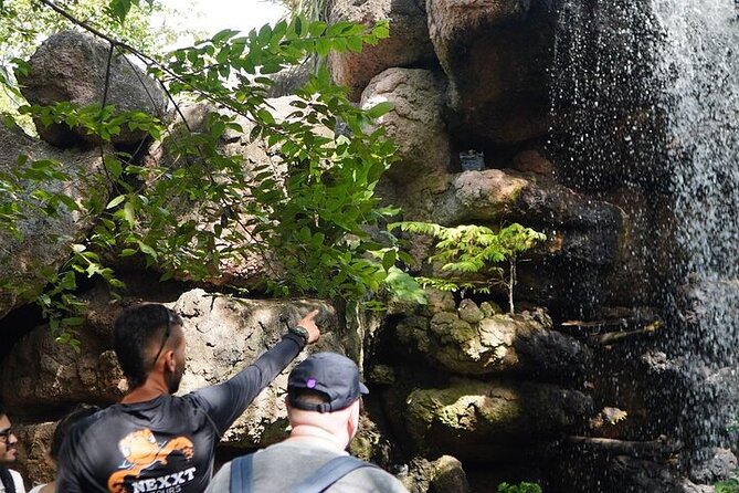 Full-Day Tour Baru - National Aviary and Playa Blanca + Bioluminescent Plankton - The National Aviary’s 22 exhibits