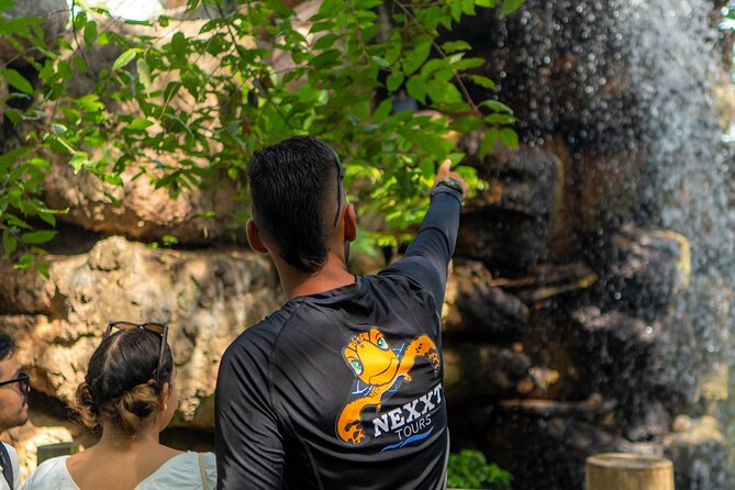 Full-Day Tour Isla Baru - National Aviary of Colombia and Playa Blanca - The National Aviary of Colombia is the reason to go