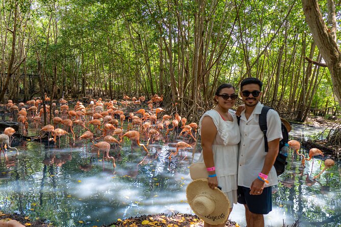 Full-Day Tour Isla Baru - National Aviary of Colombia and Playa Blanca - The early Cartagena pickup and ride to Barú
