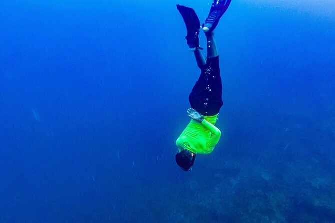Full Day Tour of 5 Must-See Places in the Rosario Islands - What the $95 price really covers