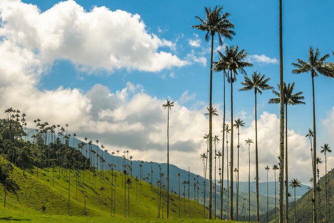 Full Day Tour of Cocora Valley, Salento, and Filandia Coffee Town (from Armenia) - Salento brings the traditional coffee-town feel