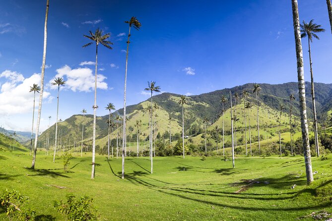 Full Day Tour of Cocora Valley, Salento, and Filandia Coffee Town (from Armenia) - Filandia offers a quieter final stop