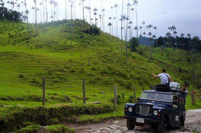 Full Day Tour of Cocora Valley, Salento, and Filandia Coffee Town (from Armenia) - Small practical points that matter
