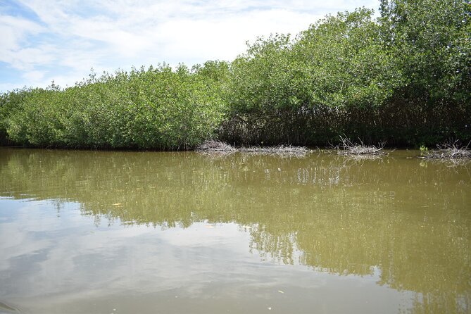 Full day tour of the mangrove swamp and mud volcano in Cartagena - Beachside lunch closes the day
