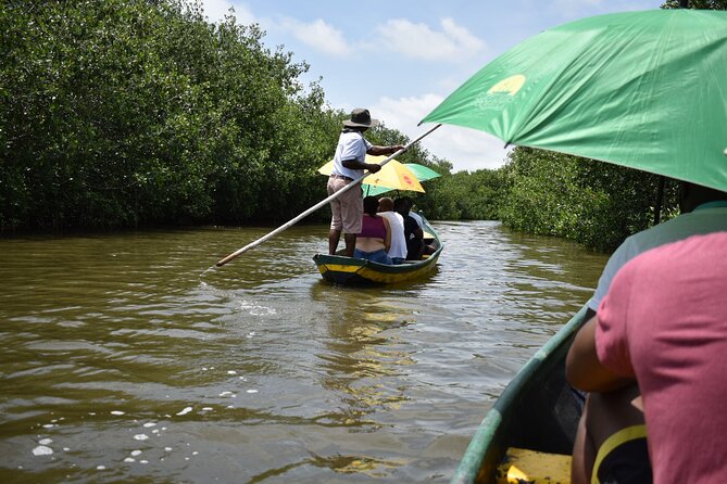 Full day tour of the mangrove swamp and mud volcano in Cartagena - Who will get the most from this tour