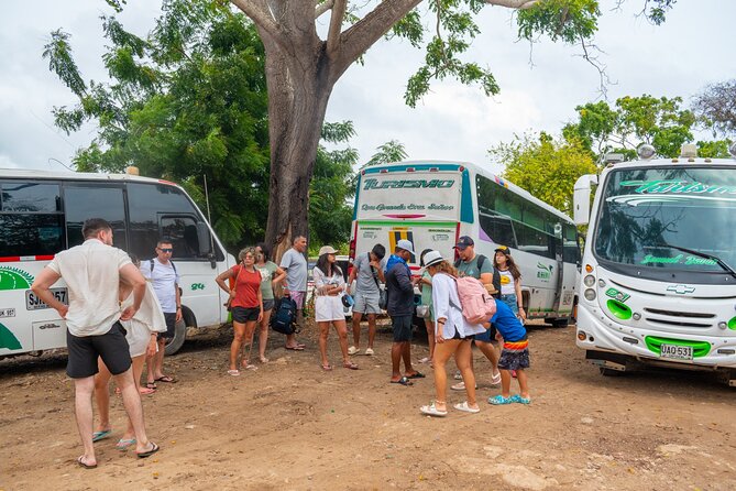 Full Day Tour to 4 Rosario Islands with snorkeling and plankton in Cartagena - Rosario Islands snorkeling: pretty fish, basic conditions