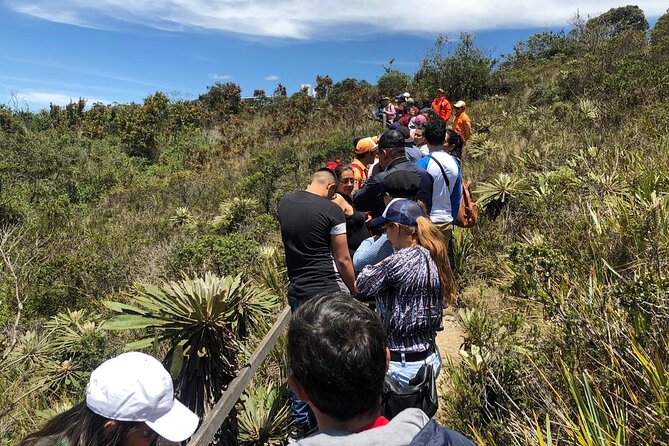 Full-Day Trip to the Salt Cathedral & the Guatavita Lagoon - What the $153.43 price really covers