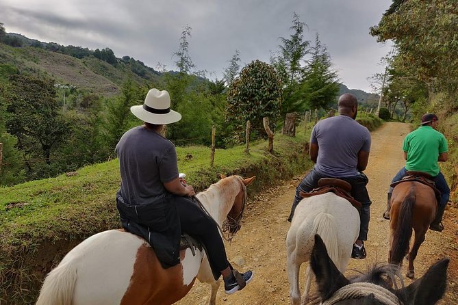 Fun Horse Rides Near Bogota - Why a Private Group Makes a Difference