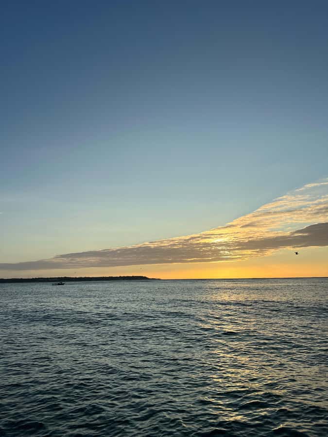 Fun sunset tour with drinks and music included - Thirty minutes for photos and the nighttime view