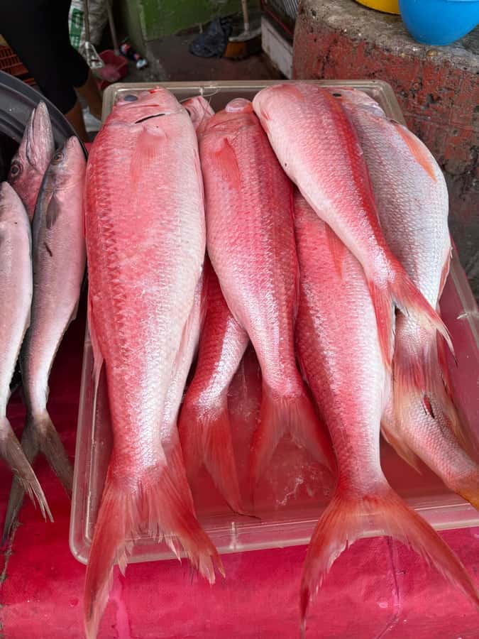 Get to know the real Cartagena: Bazurto Market gastronomic & cultural tour - Pickup in Cartagena and the Trip Toward the Market
