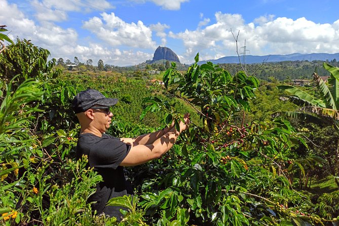 Guatapé & Coffee farm, all in one day - The ride out to El Peñol and the fruit market