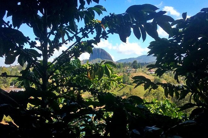 Guatape & Coffee Farm & El Peñol Rock & Quaint Town: Best Combo - What makes this day trip special