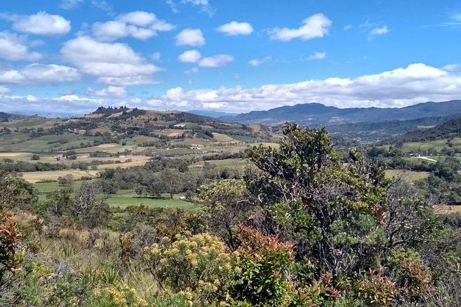 Guatavita Lake & Salt Cathedral Tour. - Transport, timing, and the cost of convenience