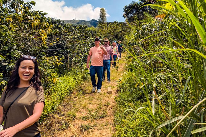 Half-Day Coffee Tour: From the Seed to the Cup, Farm & roastery - Why this Medellín coffee tour works so well