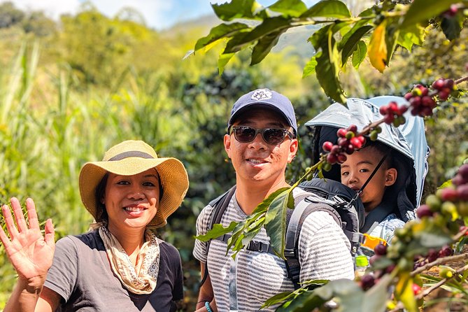 Half-Day Coffee Tour: From the Seed to the Cup, Farm & roastery - Is $76 a fair price?