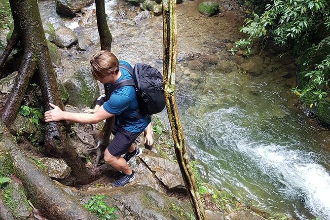 Half Day Waterfall Tour from Medellin - From El Poblado to the Envigado reserve