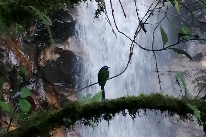 Half Day Waterfall Tour from Medellin - Who should book this Medellín waterfall tour?