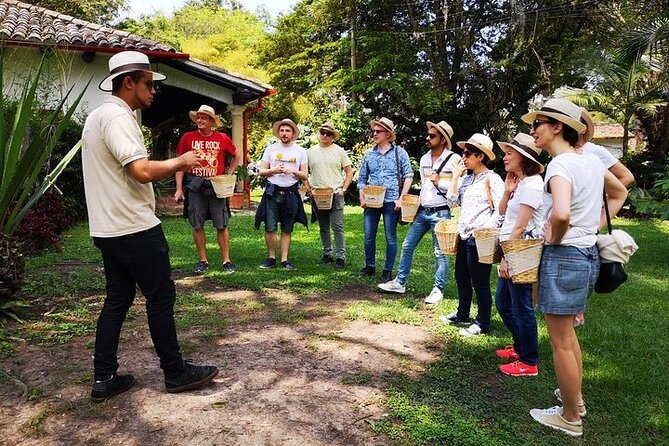 Hands-On Tour to Coffee Plantation from Bogota Option basic - Key points at a glance